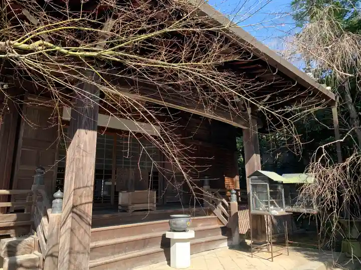 浄土院の本殿・本堂