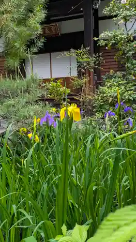宝蔵寺(京都府)