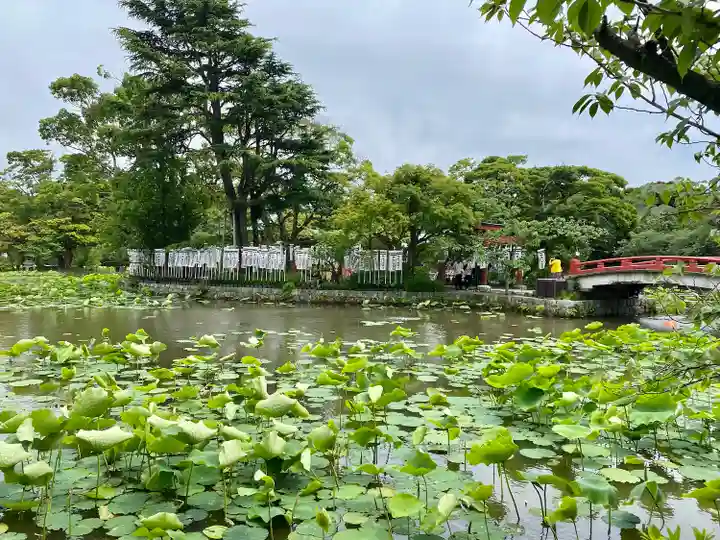 旗上弁財天社の景色