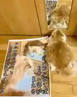 西教寺(下松駅徒歩5分)(山口県)