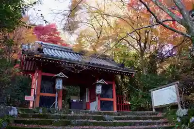 金蔵寺の山門・神門