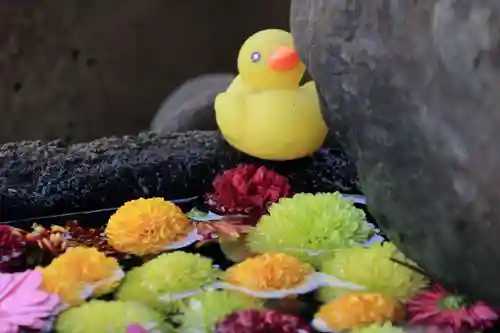 大鏑神社の手水