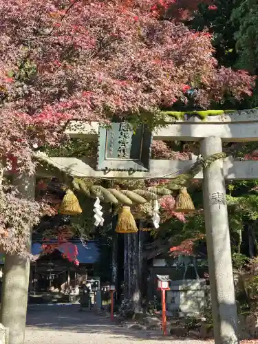 天日陰比咩神社の{uncategorized: "未分類", other: "その他", undefined: "問題あり", building: "その他建物", grave: "お墓", sacred_gate: "鳥居", guardian: "狛犬", statue: "像", buddha: "仏像", history: "歴史", nature: "自然", garden: "庭園", animal: "動物", pagoda: "塔", temizu: "手水舎", mountain_gate: "山門・神門", sanctuary: "本殿・本堂", subordinate: "末社・摂社", art: "芸術", scenery: "景色", jizo: "地蔵", ema: "絵馬", goshuin: "御朱印", omikuji: "おみくじ", items: "授与品その他", amulet: "お守り", goshuincho: "御朱印帳", eats: "食事", festival: "お祭り", votive_dance: "神楽", shichigosan: "七五三参", wedding: "結婚式", experience: "体験その他", initially: "初詣", around: "周辺", anti_infection: "感染症対策"}