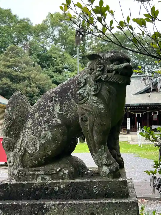 朝日森天満宮の狛犬