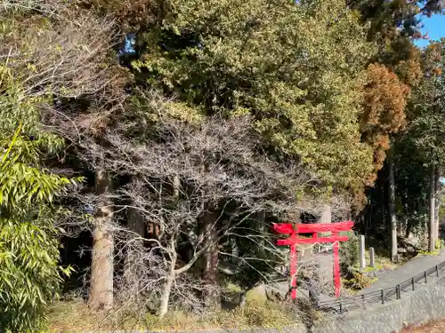 須山浅間神社の鳥居