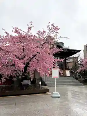 桜神宮(東京都)