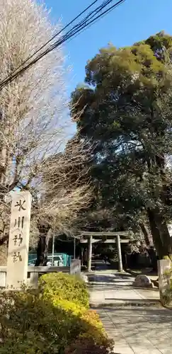 渋谷氷川神社の鳥居