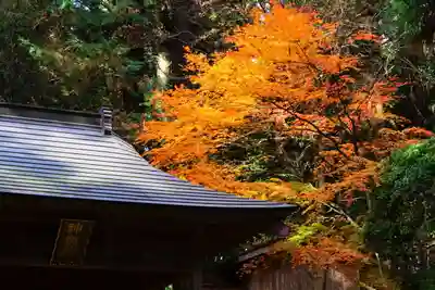鹿島大神宮の景色