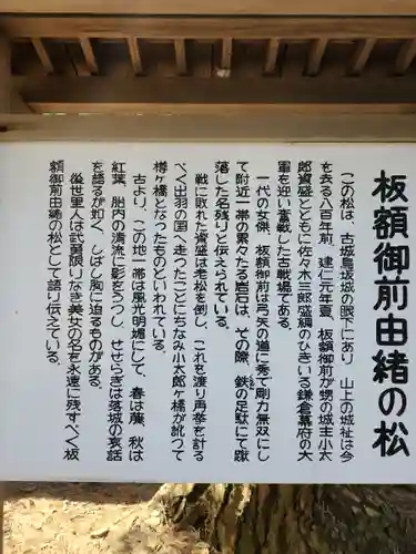 越後胎内観音(新潟県)