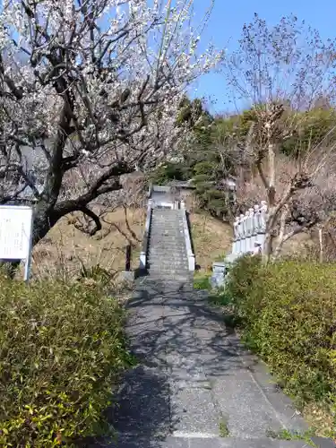金沢寺(埼玉県)