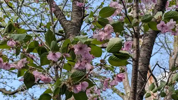 永山神社(北海道)