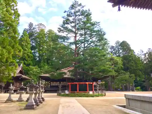 壇上伽藍(和歌山県)