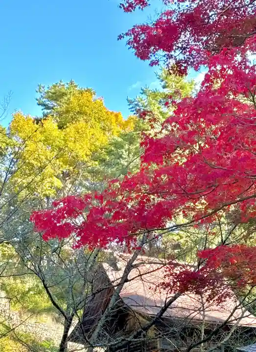 蚊里田八幡宮(長野県)