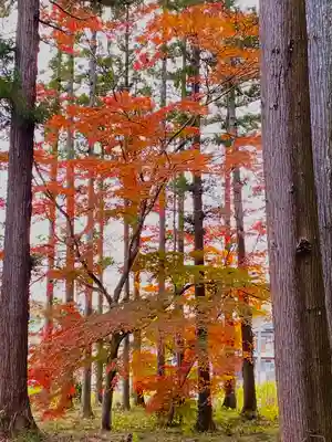 賀茂神社(宮城県)