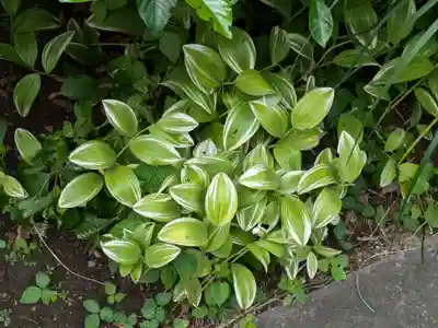 谷中 妙福寺(東京都)