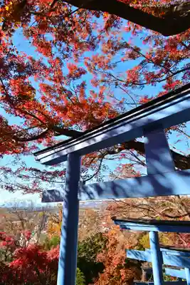 足利織姫神社(栃木県)