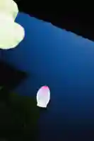 浄土寺(兵庫県)