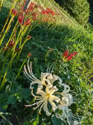 宝城坊(神奈川県)