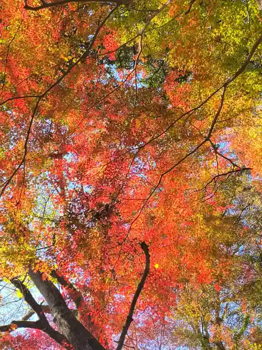 神應寺(京都府)