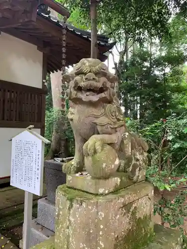 日吉神社の狛犬