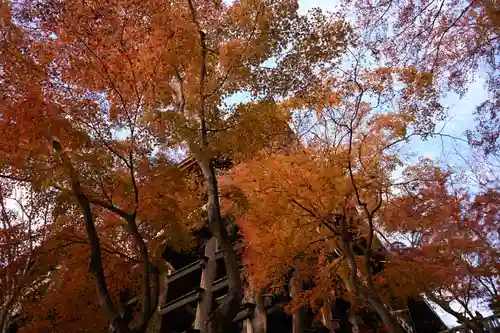 清水寺(京都府)