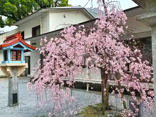 警固神社の自然