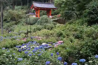 三室戸寺(京都府)