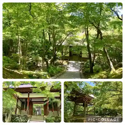 常寂光寺(京都府)