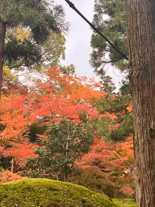 今熊野観音寺(京都府)