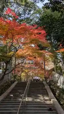 長岡天満宮(京都府)
