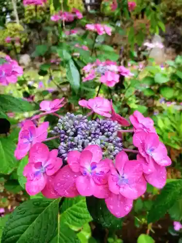 鳩森八幡神社(東京都)