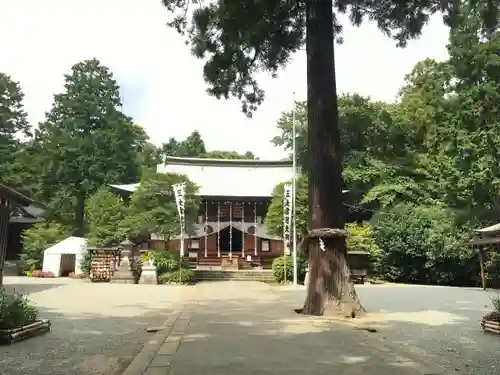 比々多神社の建物その他