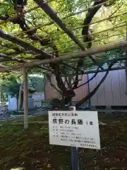 行興寺の自然