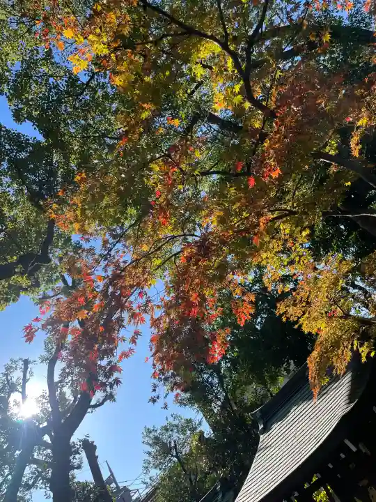 六郷神社(東京都)