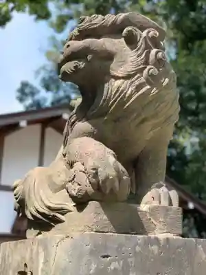 多摩川浅間神社の狛犬