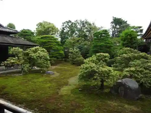 聖護院門跡の庭園