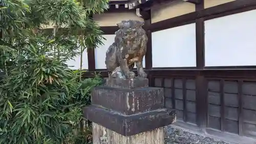 京都乃木神社の狛犬