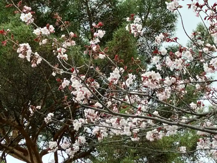 北見神社の{uncategorized: "未分類", other: "その他", undefined: "問題あり", building: "その他建物", grave: "お墓", sacred_gate: "鳥居", guardian: "狛犬", statue: "像", buddha: "仏像", history: "歴史", nature: "自然", garden: "庭園", animal: "動物", pagoda: "塔", temizu: "手水舎", mountain_gate: "山門・神門", sanctuary: "本殿・本堂", subordinate: "末社・摂社", art: "芸術", scenery: "景色", jizo: "地蔵", ema: "絵馬", goshuin: "御朱印", omikuji: "おみくじ", items: "授与品その他", amulet: "お守り", goshuincho: "御朱印帳", eats: "食事", festival: "お祭り", votive_dance: "神楽", shichigosan: "七五三参", wedding: "結婚式", experience: "体験その他", initially: "初詣", around: "周辺", anti_infection: "感染症対策"}