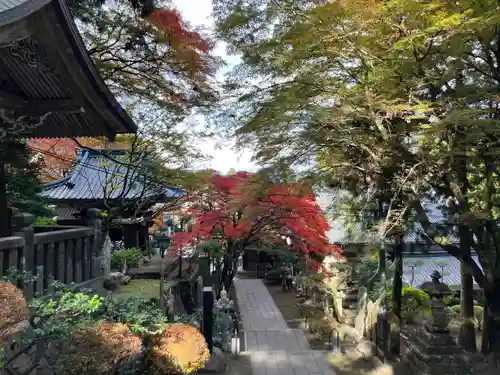 最乗寺（道了尊）(神奈川県)