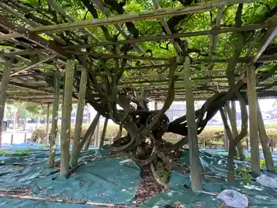 報徳二宮神社(神奈川県)