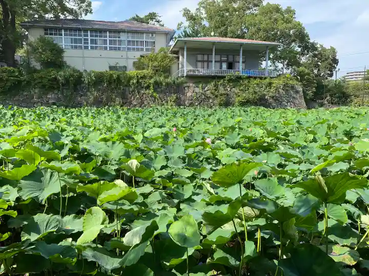 報徳二宮神社(神奈川県)