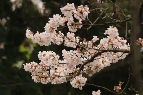 立鉾鹿島神社の自然