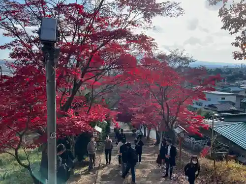 新倉富士浅間神社(山梨県)