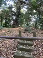 畑子安神社の建物その他