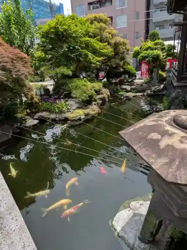 妙音寺(東京都)