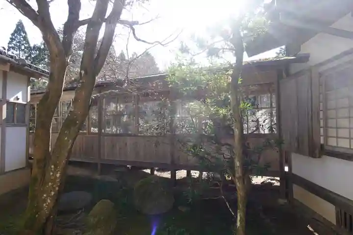 曼殊院門跡の庭園