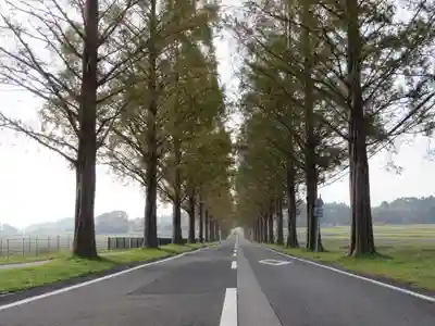 白鬚神社(滋賀県)