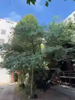 蔵前神社(東京都)