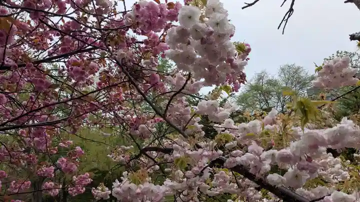 多賀神社の自然