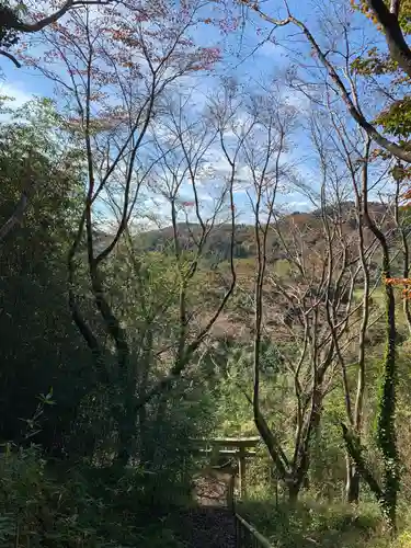 八坂神社の鳥居